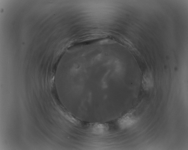 X0000068770330200605011033