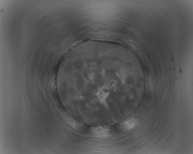 X0000068770331200605011033