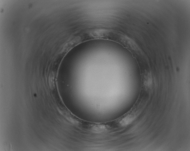 X0000068770332200605011033