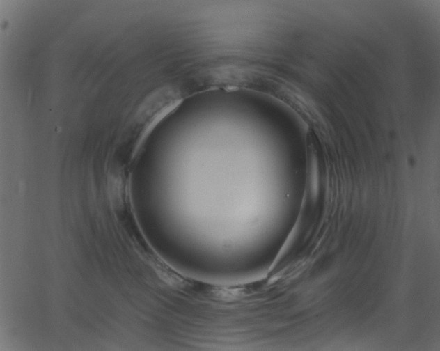 X0000068770333200605011033