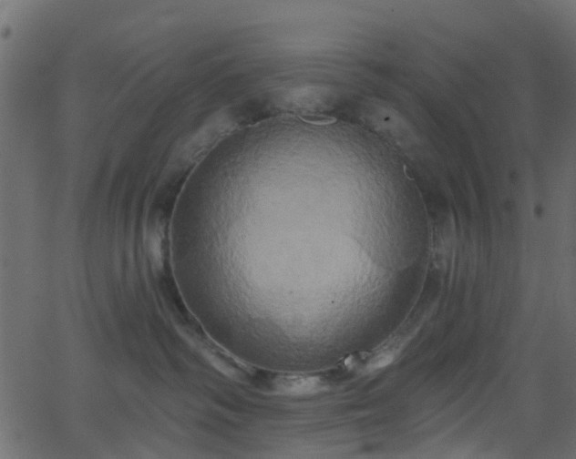 X0000068770334200605011033