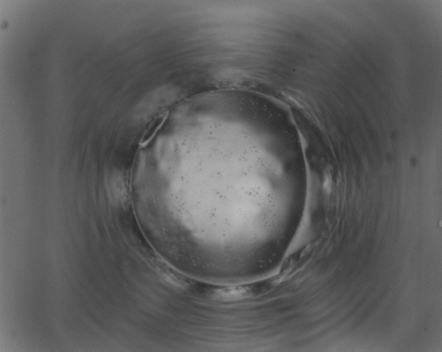 X0000068770335200605011033