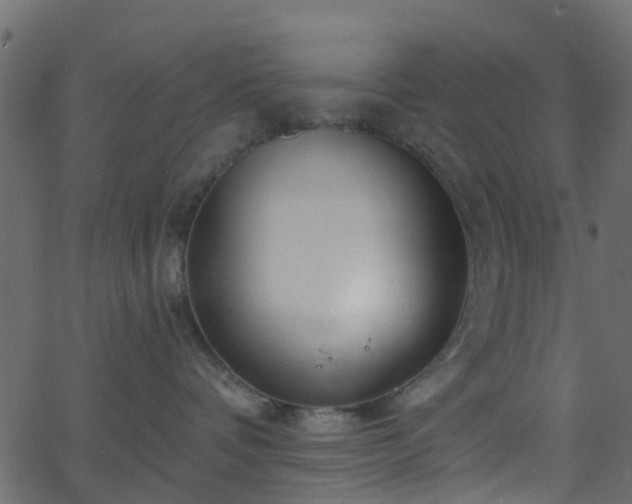 X0000068770336200605011033