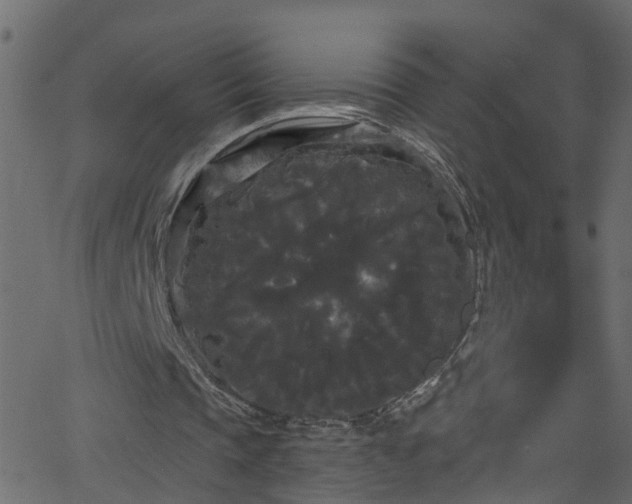 X0000068770337200605011032