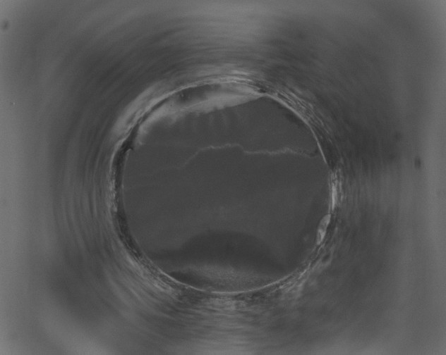 X0000068770339200605011032