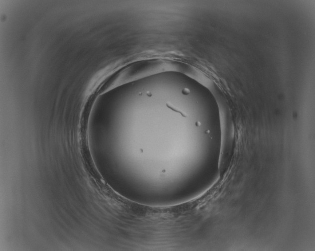 X0000068770340200605011032