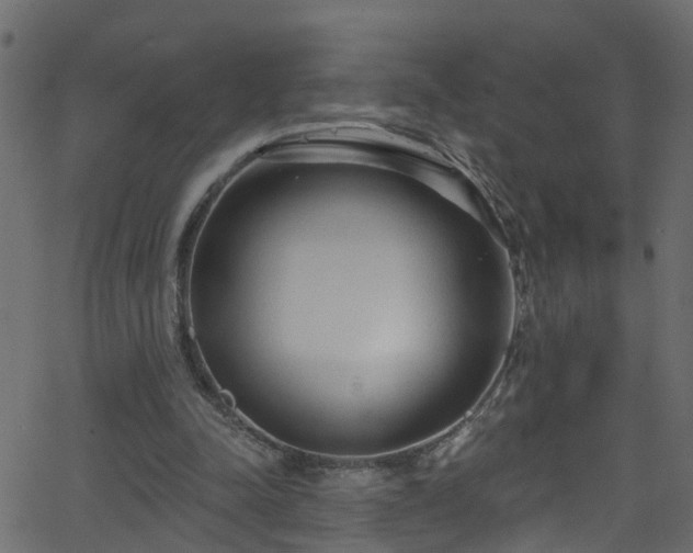 X0000068770342200605011032