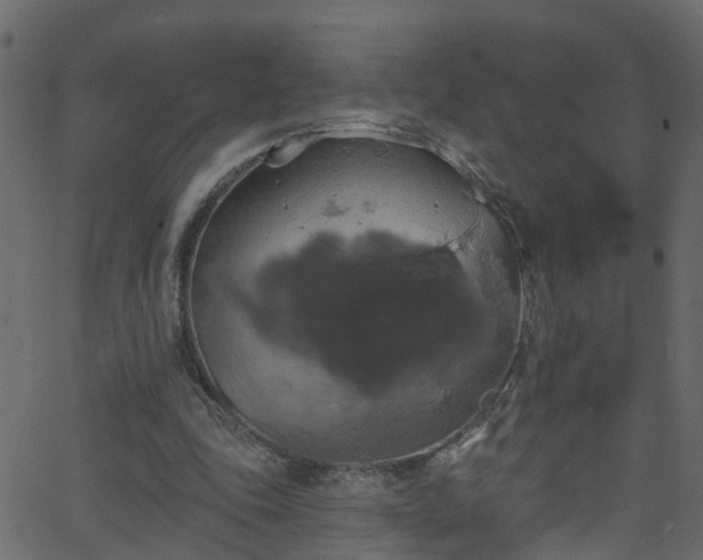 X0000068770343200605011032