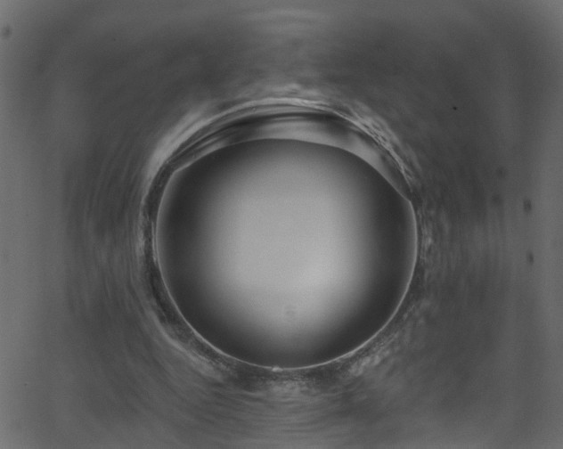 X0000068770344200605011032