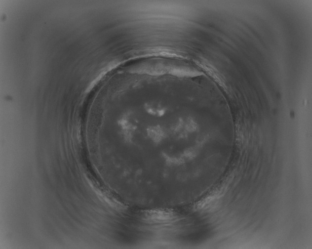 X0000068770347200605011032