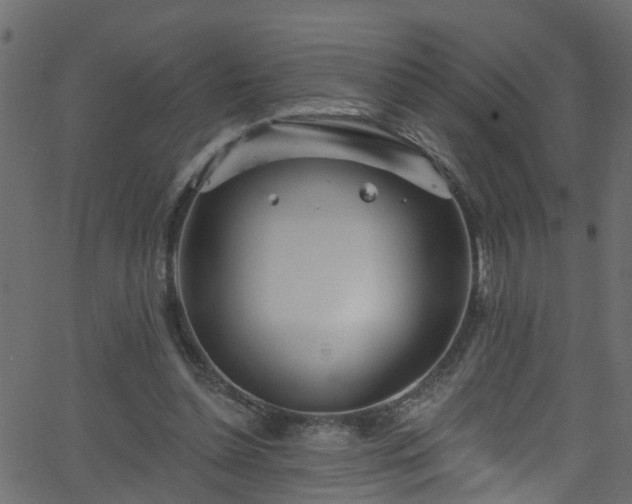 X0000068770348200605011033