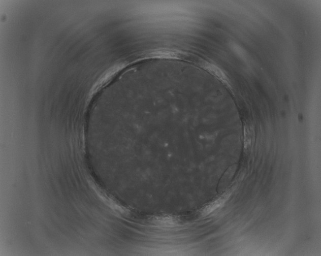 X0000068770349200605011033