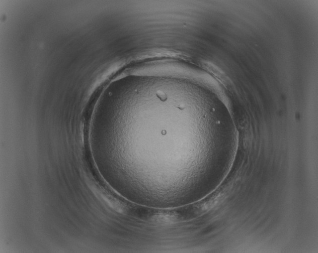 X0000068770350200605011033