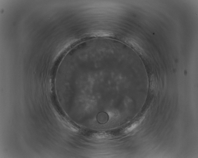 X0000068770351200605011033