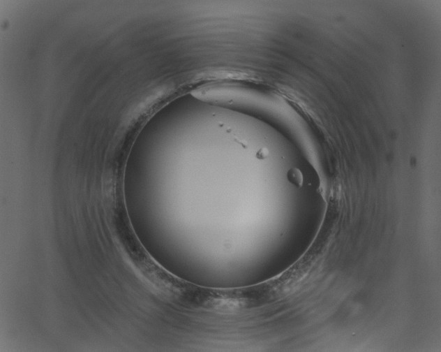 X0000068770352200605011033