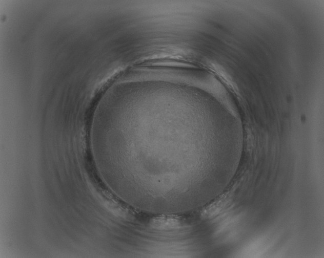 X0000068770354200605011033