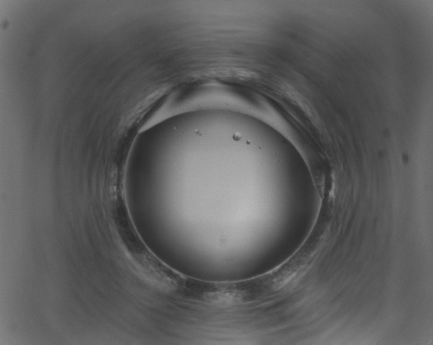 X0000068770356200605011033