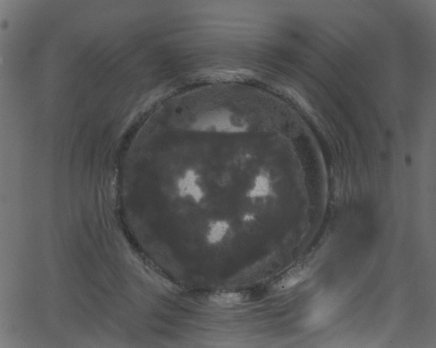 X0000068770357200605011033