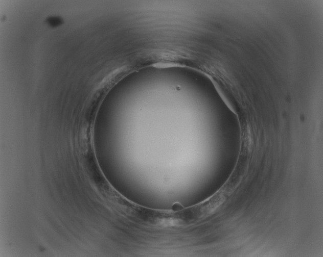 X0000068770360200605011033