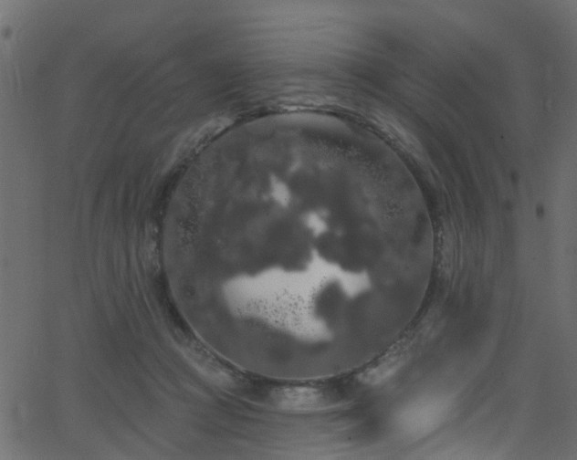 X0000068770361200605011033