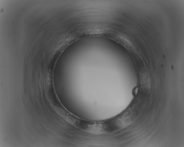 X0000068770362200605011033