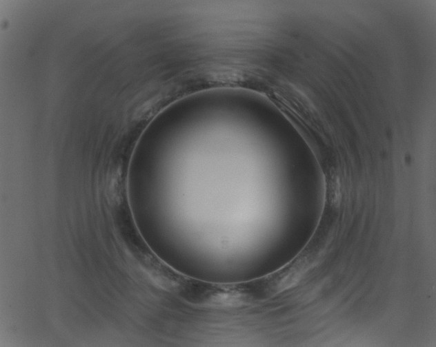 X0000068770364200605011033