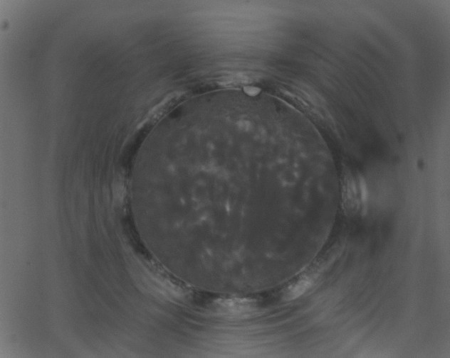 X0000068770367200605011033