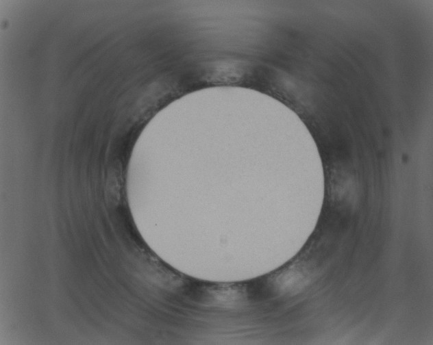 X0000068770370200605011033