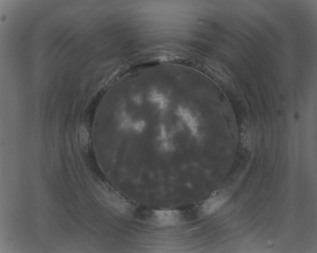 X0000068770371200605011033