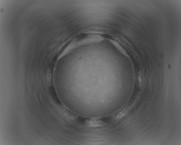 X0000068770372200605011033