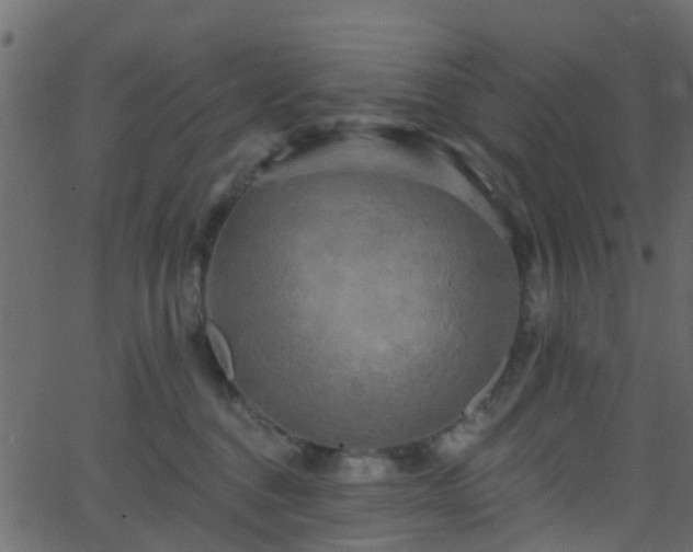 X0000068770376200605011033