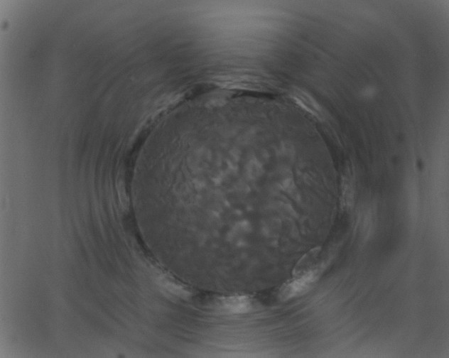 X0000068770377200605011033