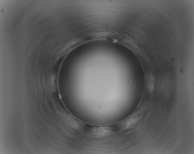 X0000068770378200605011033