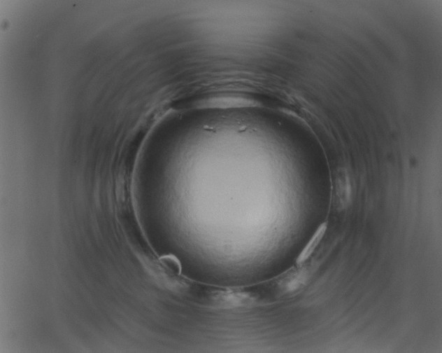 X0000068770379200605011033