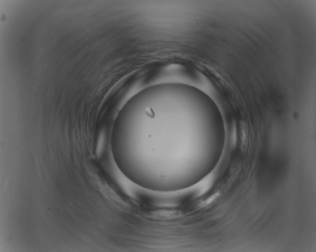 X0000068770380200605011033