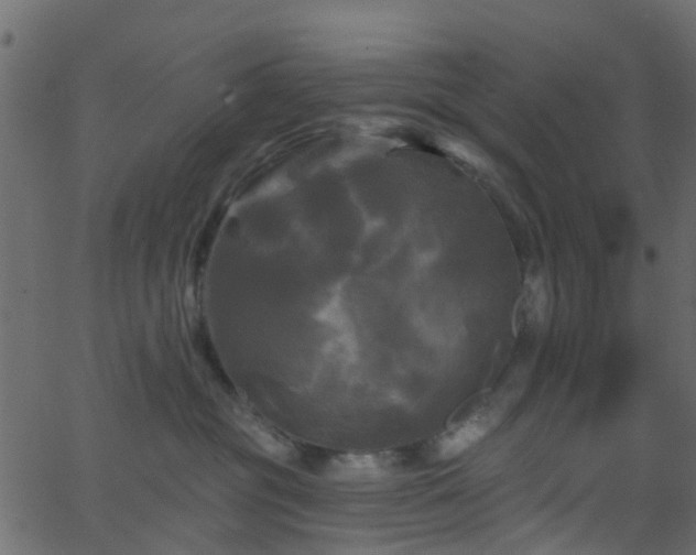 X0000068770381200605011033