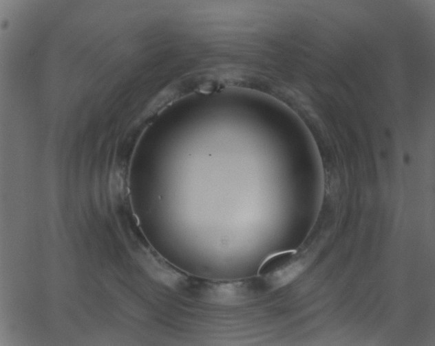 X0000068770382200605011033