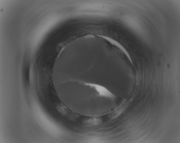 X0000068770383200605011033