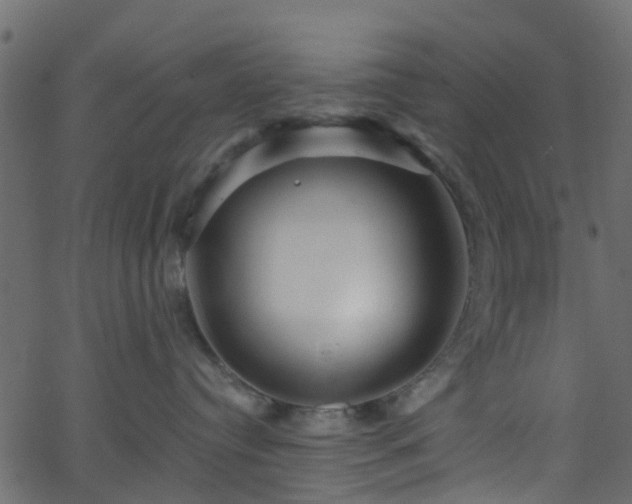 X0000068770384200605011033