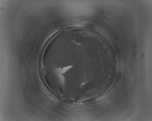 X0000068770386200605011032