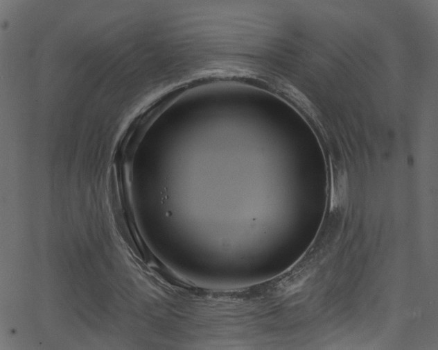 X0000068770387200605011032