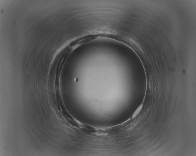 X0000068770388200605011032