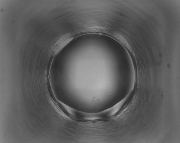 X0000068770389200605011032