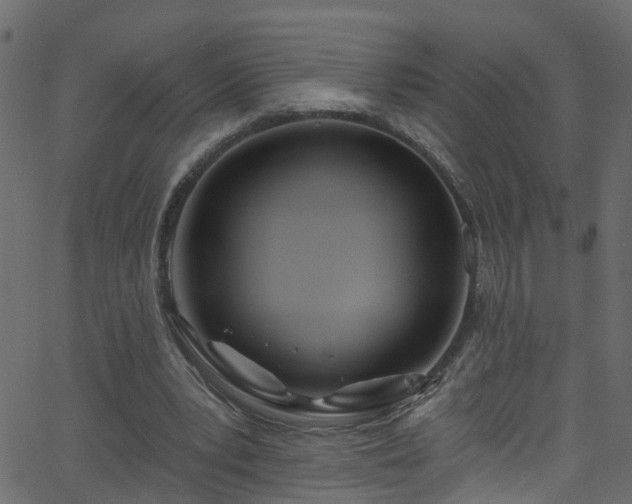 X0000068770391200605011032