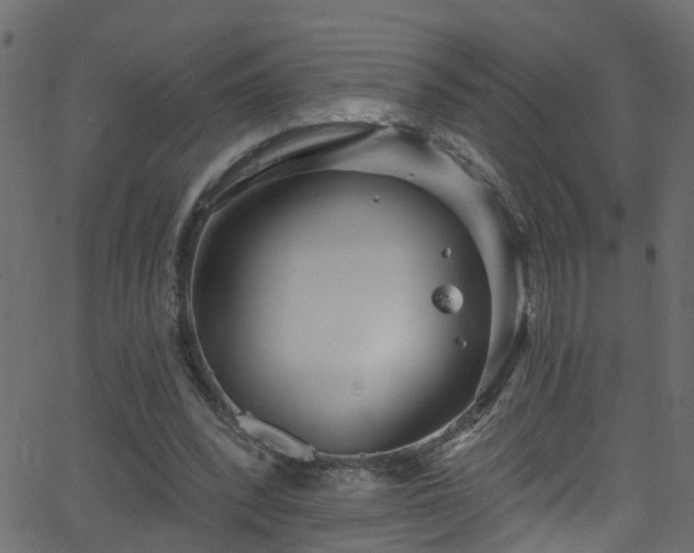 X0000068770392200605011032