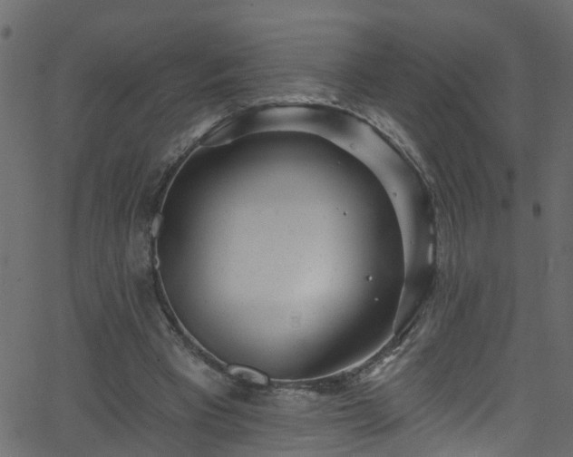 X0000068770393200605011032