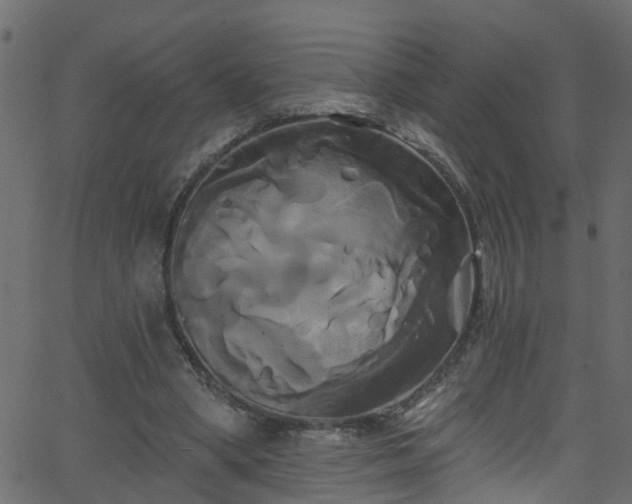 X0000068770394200605011032