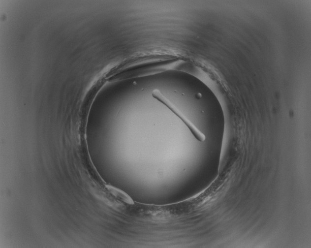 X0000068770395200605011032