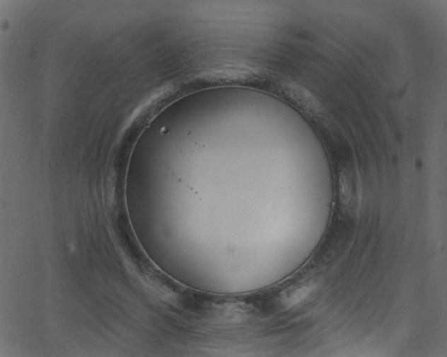 X0000068770396200605011032