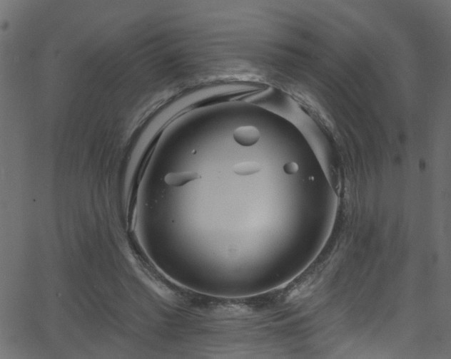 X0000068770397200605011032